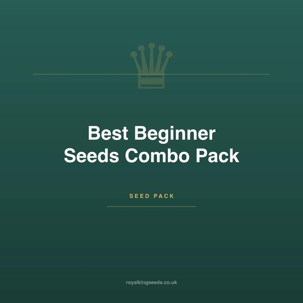 Best Beginner Seeds Combo Pack hybrid cannabis plant