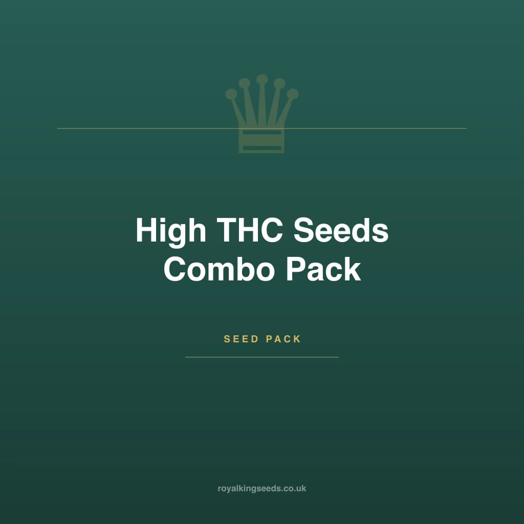 High THC Seeds Combo Pack hybrid cannabis plant
