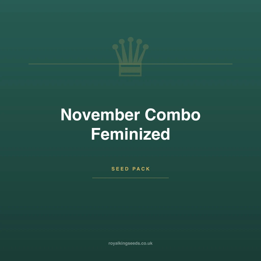 November Combo hybrid cannabis plant