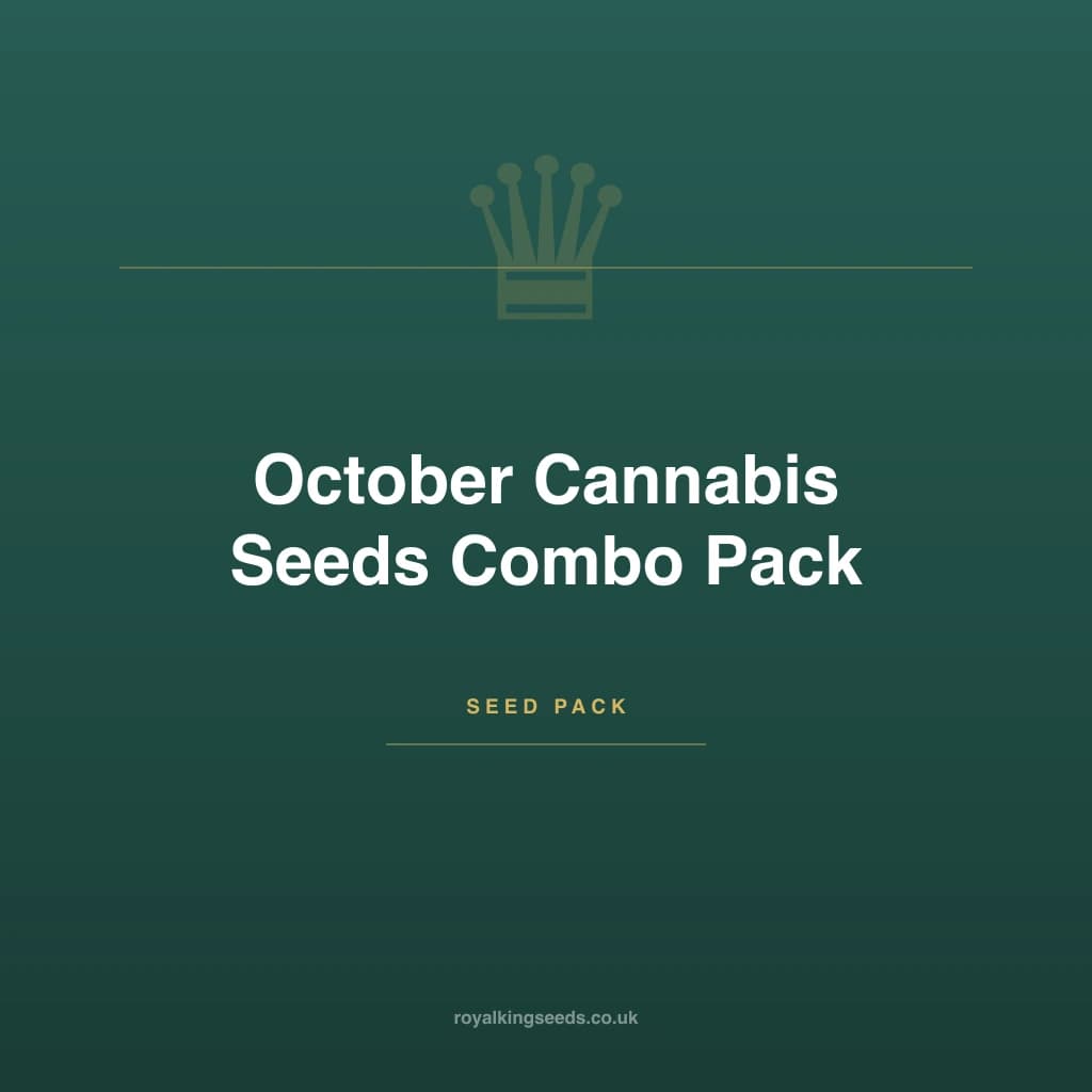 October Cannabis Seeds Combo Pack hybrid cannabis plant