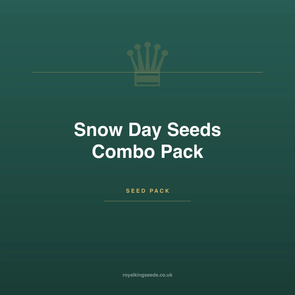 Snow Day Seeds Combo Pack hybrid cannabis plant