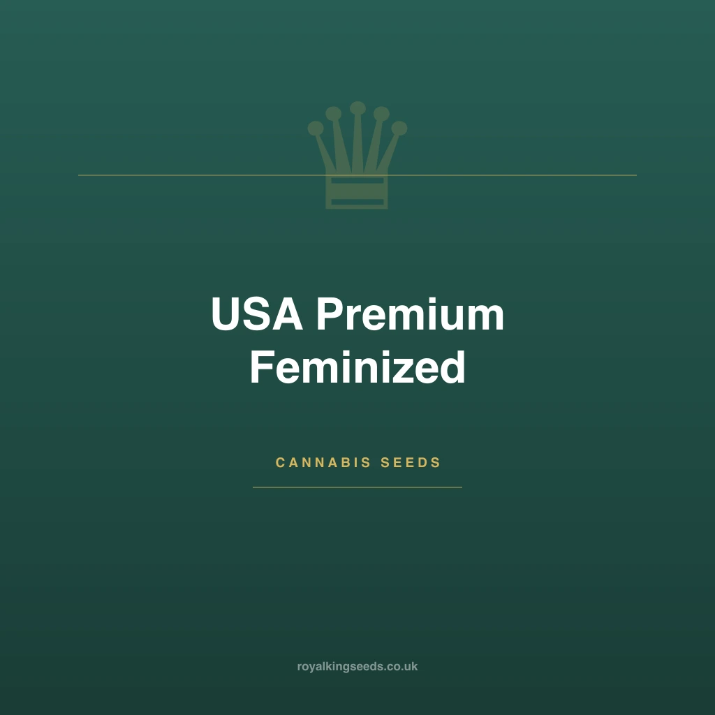 USA Premium hybrid cannabis plant